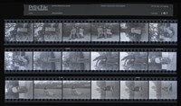 藏品(吳紹同135底片141)的圖片