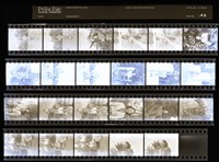 藏品(吳紹同135底片142)的圖片