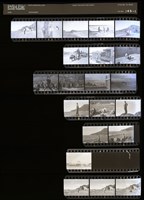 藏品(吳紹同135底片143)的圖片