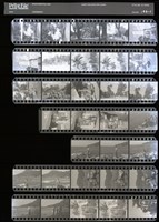 藏品(吳紹同135底片146)的圖片
