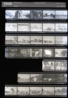 藏品(吳紹同135底片147)的圖片