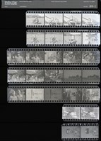 藏品(吳紹同135底片150)的圖片