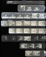 藏品(吳紹同135底片151)的圖片