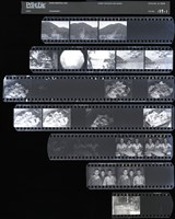 藏品(吳紹同135底片159)的圖片