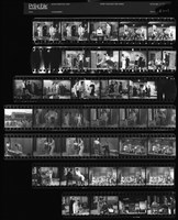 藏品(吳紹同135底片160)的圖片