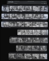 藏品(吳紹同135底片161)的圖片