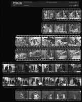 藏品(吳紹同135底片162)的圖片