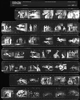 藏品(吳紹同135底片165)的圖片