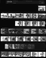 藏品(吳紹同135底片171)的圖片