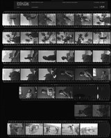 藏品(吳紹同135底片172)的圖片