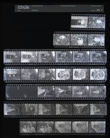 藏品(吳紹同135底片177)的圖片