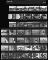 藏品(吳紹同135底片179)的圖片