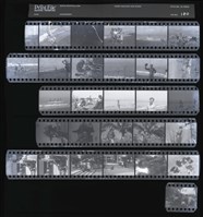 藏品(吳紹同135底片180)的圖片