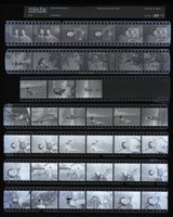 藏品(吳紹同135底片182)的圖片