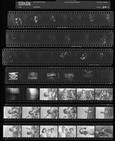 藏品(吳紹同135底片184)的圖片