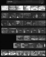 藏品(吳紹同135底片185)的圖片