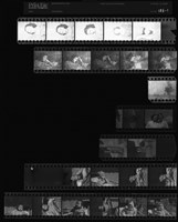 藏品(吳紹同135底片186)的圖片