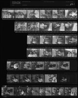 藏品(吳紹同135底片189)的圖片