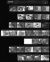 藏品(吳紹同135底片193)的圖片