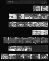 藏品(吳紹同135底片196)的圖片