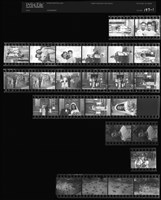 藏品(吳紹同135底片197)的圖片