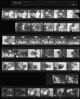 藏品(吳紹同135底片198)的圖片