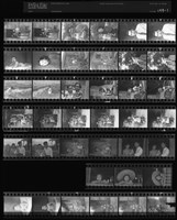 藏品(吳紹同135底片199)的圖片