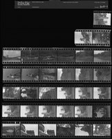 藏品(吳紹同135底片202)的圖片