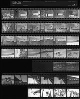 藏品(吳紹同135底片204)的圖片