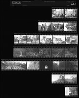 藏品(吳紹同135底片205)的圖片