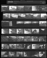 藏品(吳紹同135底片206)的圖片