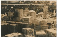 藏品(〈外灘十三號碼頭〉)的圖片