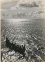 藏品(〈太平洋チフ〉)的圖片