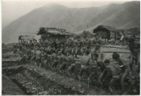 藏品(〈雅美舟下水儀式系列2〉)的圖片