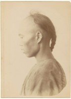 藏品(福爾摩沙漢籍犯人側面)的圖片