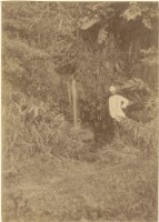 藏品(法籍醫師於叢林)的圖片