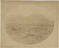 藏品(19世紀臺灣歷史影像：oh Soa 茶園靠近原住民領土)的圖片