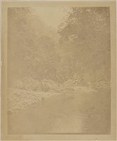 藏品(19世紀臺灣歷史影像：No 50 Dragon Foot Lake（水社，邵族）與茶園，距離海平面3,000呎高，日月潭)的圖片