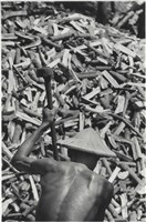 藏品(快門時機系列：台中)的圖片