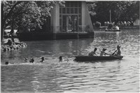 藏品(快門時機系列：台中公園)的圖片