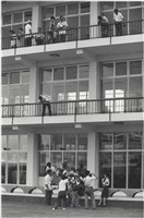 藏品(快門時機系列：台中公園)的圖片