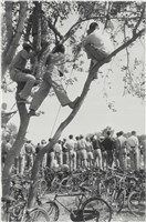 藏品(快門時機系列：台中體育場)的圖片