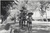 藏品(快門時機系列：金門)的圖片