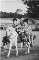 藏品(快門時機系列：金門 鴛鴦馬)的圖片