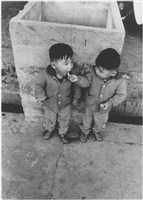 藏品(〈分享〉)的圖片