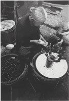 藏品(〈賣鳥來糖的阿皮婆〉)的圖片