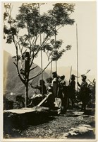 藏品(敵蕃緊戒)的圖片