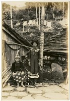 藏品(原住民的首飾)的圖片