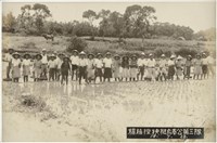 藏品(楊梅插秧挺身奉公第三隊)的圖片