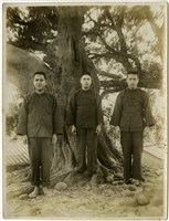 藏品(伯公山系列3)的圖片